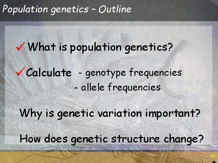 Population genetics – Outline ü What is population genetics? üCalculate - genotype frequencies - Population genetics – Outline ü What is population genetics? üCalculate - genotype frequencies -