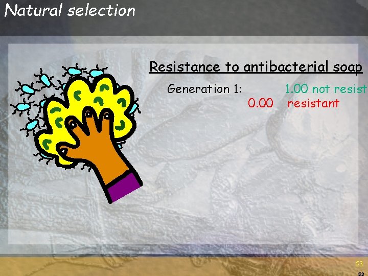 Natural selection Resistance to antibacterial soap Generation 1: 1. 00 not resista 0. 00 Natural selection Resistance to antibacterial soap Generation 1: 1. 00 not resista 0. 00