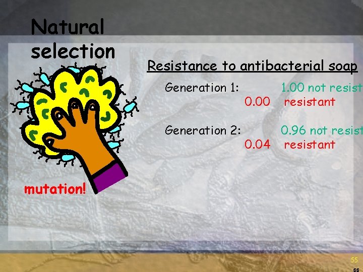 Natural selection Resistance to antibacterial soap Generation 1: 1. 00 not resist 0. 00 Natural selection Resistance to antibacterial soap Generation 1: 1. 00 not resist 0. 00