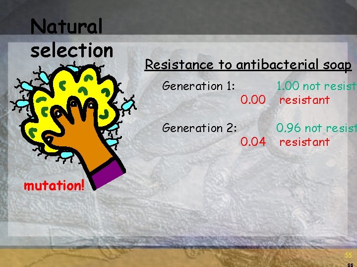 Natural selection Resistance to antibacterial soap Generation 1: 1. 00 not resist 0. 00