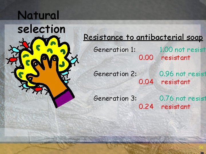 Natural selection Resistance to antibacterial soap Generation 1: 1. 00 not resist 0. 00 Natural selection Resistance to antibacterial soap Generation 1: 1. 00 not resist 0. 00