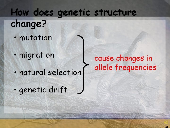 How does genetic structure change? • mutation • migration • natural selection cause changes