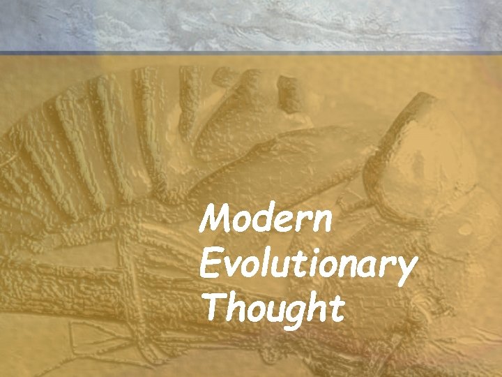 Modern Evolutionary Thought Modern Evolutionary Thought