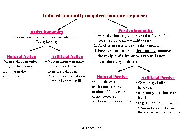 Induced Immunity (acquired immune response) Passive immunity Active immunity 1. An individual is given