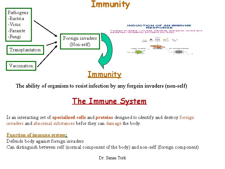 Immunity Pathogens -Bactria -Virus -Parasite -Fungi Transplantation Foreign invaders (Non-self) Vaccination Immunity The ability