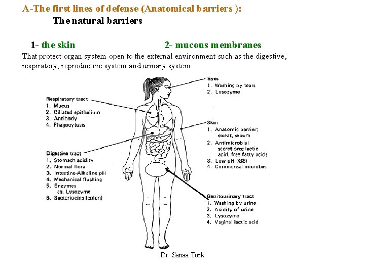 A-The first lines of defense (Anatomical barriers ): The natural barriers 1 - the