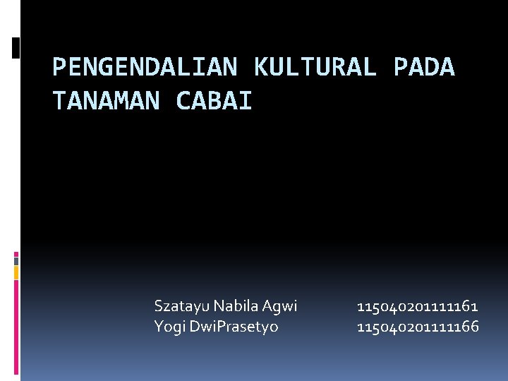 PENGENDALIAN KULTURAL PADA TANAMAN CABAI Szatayu Nabila Agwi Yogi Dwi. Prasetyo 115040201111161 115040201111166 