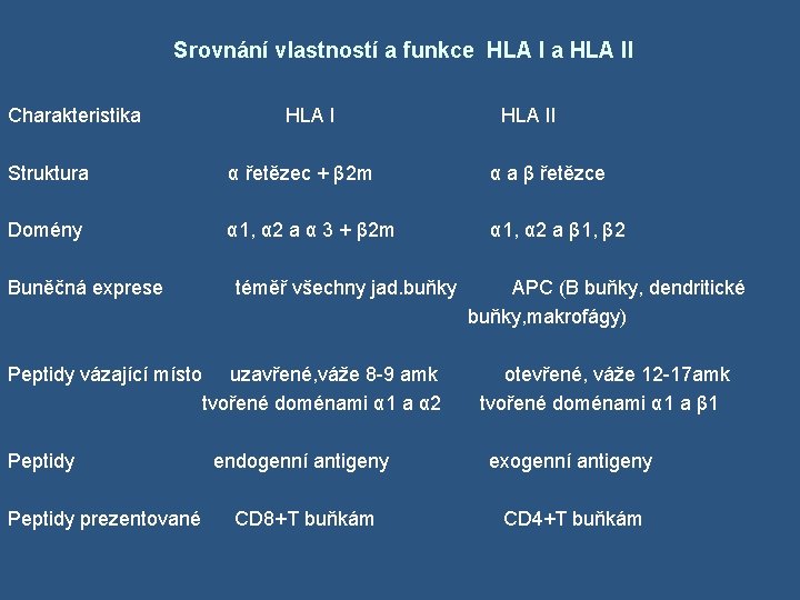 Srovnání vlastností a funkce HLA I a HLA II Charakteristika HLA II Struktura α