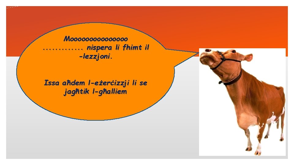 Moooooooo. . . nispera li fhimt il -lezzjoni. Issa aħdem l-eżerċizzji li se jagħtik