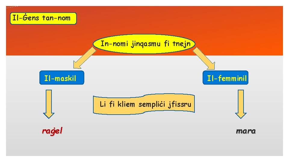 Il-Ġens tan-nom In-nomi jinqasmu fi tnejn Il-maskil Il-femminil Li fi kliem sempliċi jfissru raġel