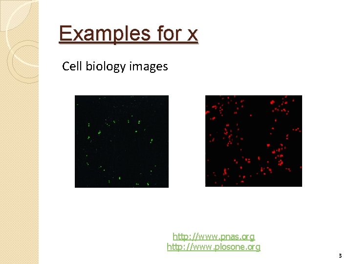 Examples for x Cell biology images http: //www. pnas. org http: //www. plosone. org