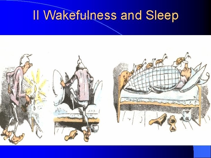 II Wakefulness and Sleep 