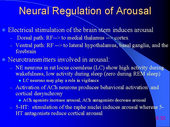 Neural Regulation of Arousal l Electrical stimulation of the brain stem induces arousal –