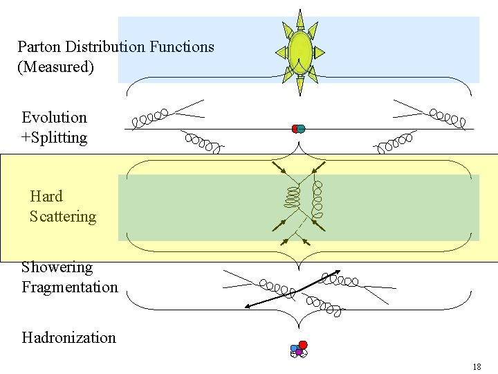 Parton Distribution Functions (Measured) Evolution +Splitting Hard Scattering Showering Fragmentation Hadronization e+e 18 