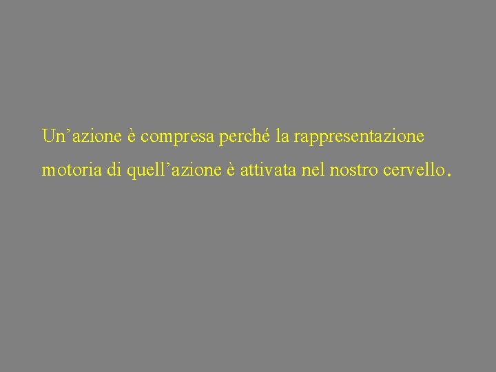 Un’azione è compresa perché la rappresentazione motoria di quell’azione è attivata nel nostro cervello.