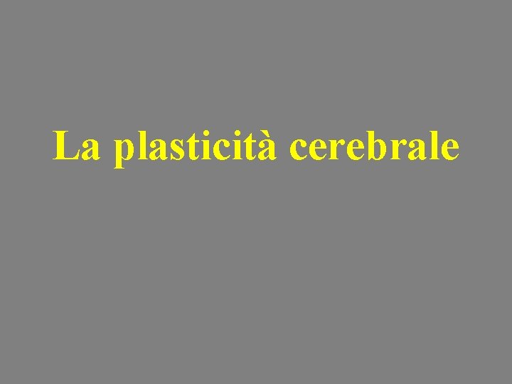 La plasticità cerebrale 