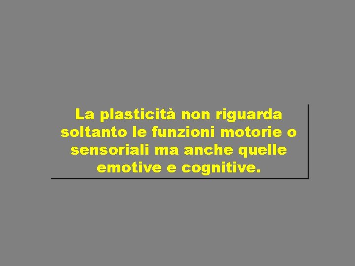 La plasticità non riguarda soltanto le funzioni motorie o sensoriali ma anche quelle emotive