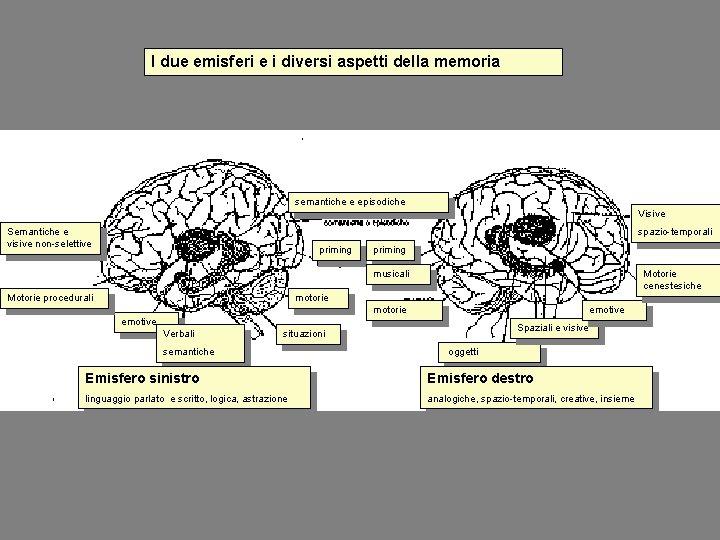I due emisferi e i diversi aspetti della memoria semantiche e episodiche Visive Semantiche