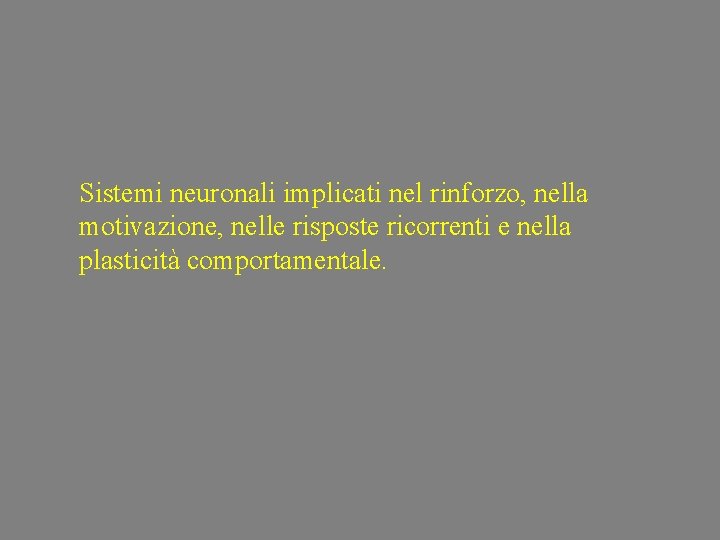 Sistemi neuronali implicati nel rinforzo, nella motivazione, nelle risposte ricorrenti e nella plasticità comportamentale.