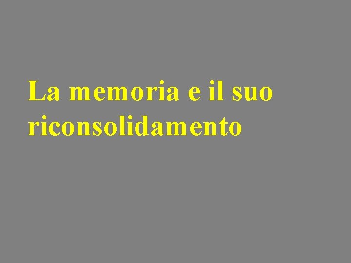 La memoria e il suo riconsolidamento 