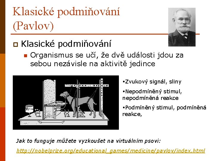 Klasické podmiňování (Pavlov) p Klasické podmiňování Organismus se učí, že dvě události jdou za