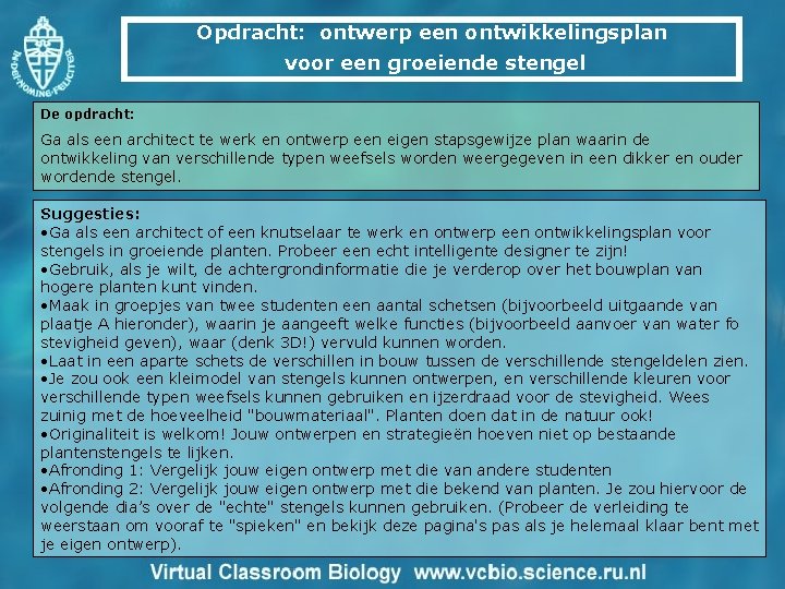 Opdracht: ontwerp een ontwikkelingsplan voor een groeiende stengel De opdracht: Ga als een architect