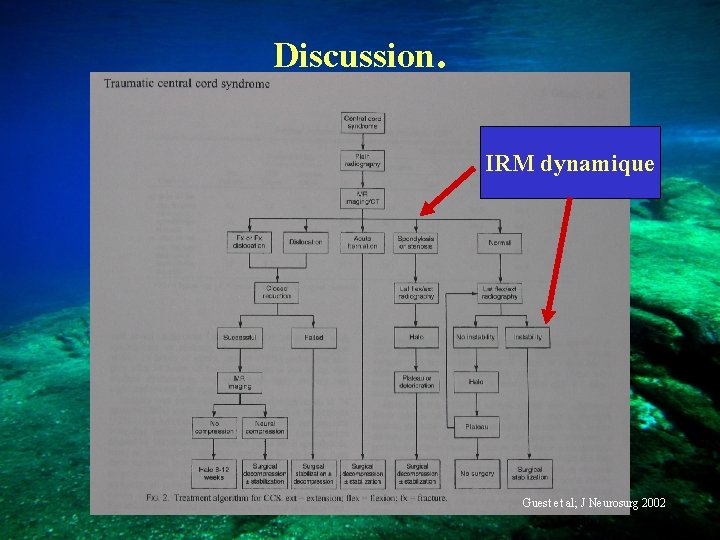 Discussion. IRM dynamique Guest et al; J Neurosurg 2002 