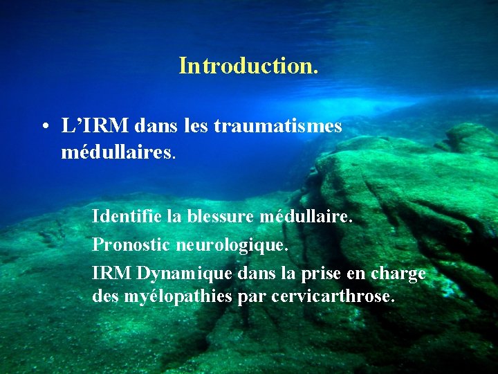 Introduction. • L’IRM dans les traumatismes médullaires. Identifie la blessure médullaire. Pronostic neurologique. IRM