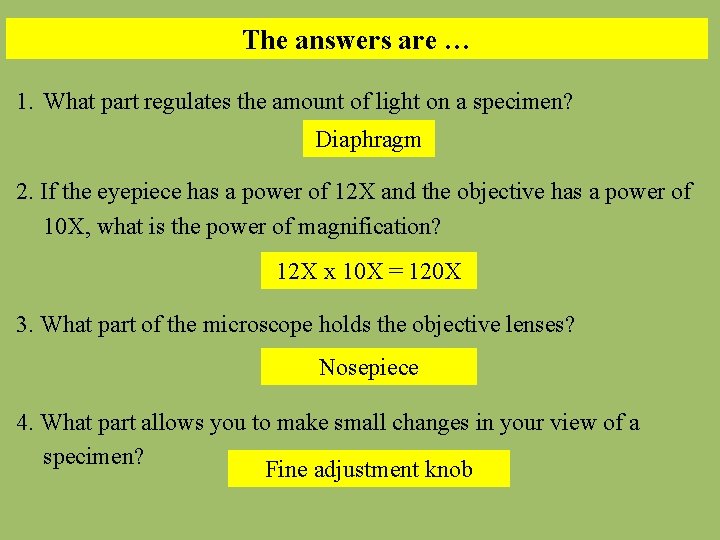 The answers are … 1. What part regulates the amount of light on a