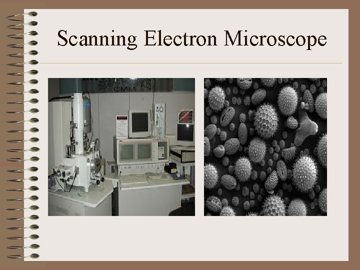 Scanning Electron Microscope 