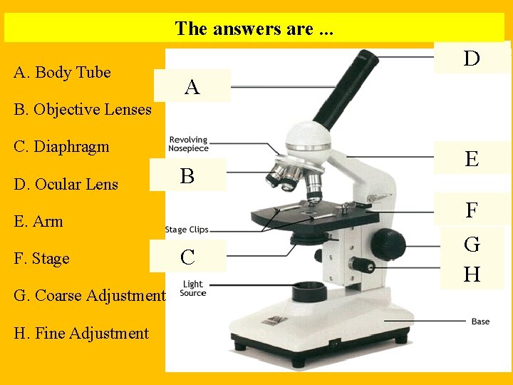 The answers are. . . A. Body Tube D A B. Objective Lenses C.