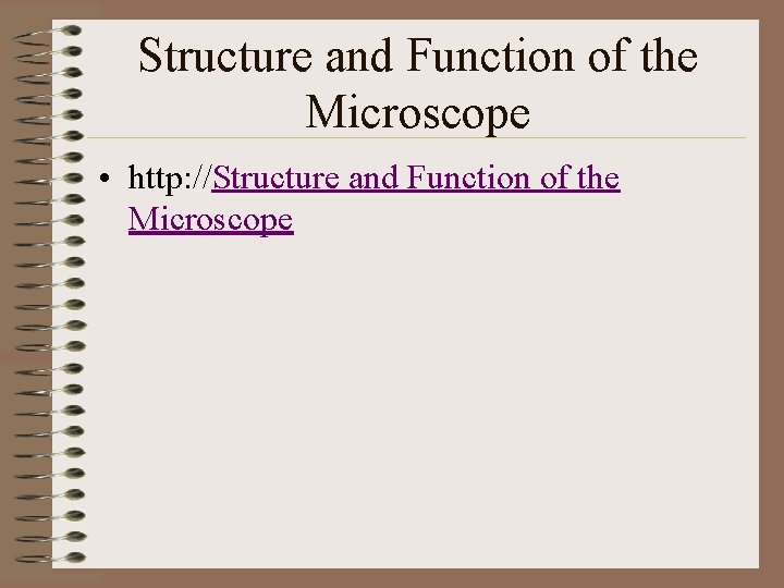 Structure and Function of the Microscope • http: //Structure and Function of the Microscope