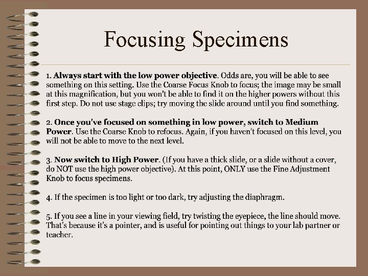 Focusing Specimens 
