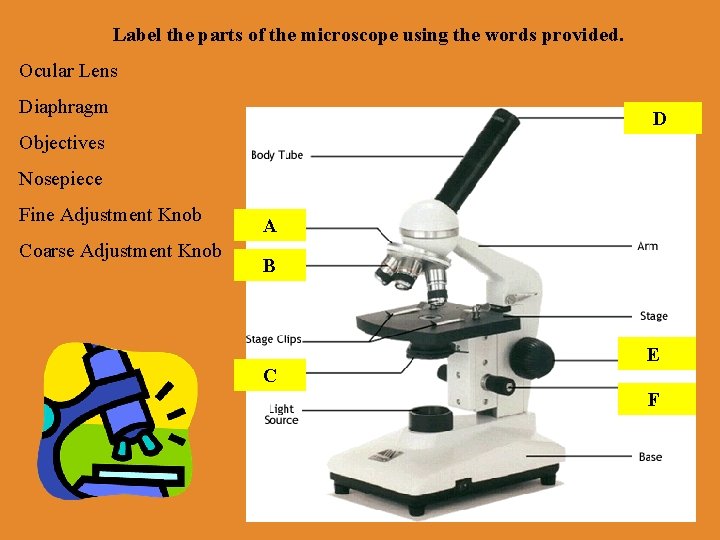 Label the parts of the microscope using the words provided. Ocular Lens Diaphragm DD