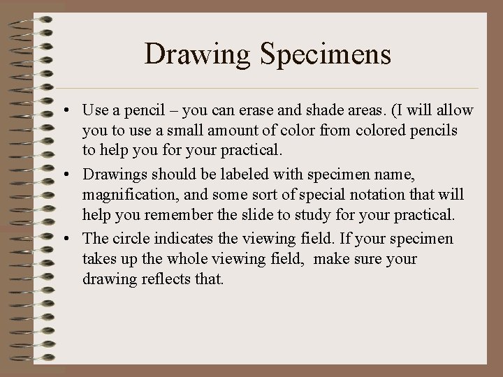 Drawing Specimens • Use a pencil – you can erase and shade areas. (I
