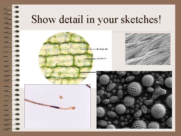 Show detail in your sketches! 
