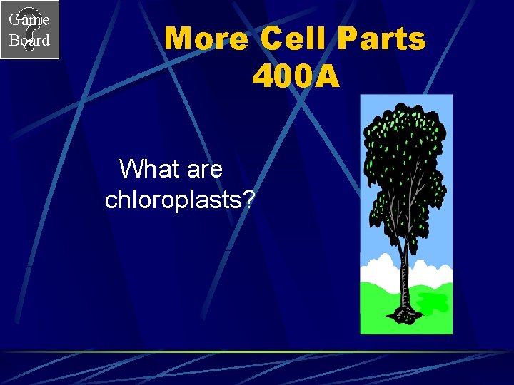 Game Board More Cell Parts 400 A What are chloroplasts? 