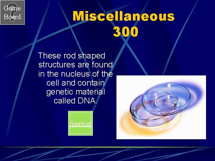 Game Board Miscellaneous 300 These rod shaped structures are found in the nucleus of