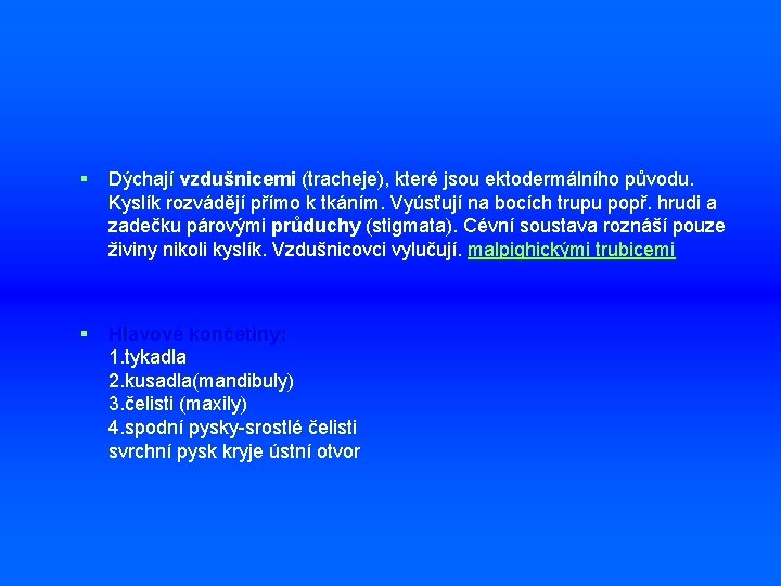 § Dýchají vzdušnicemi (tracheje), které jsou ektodermálního původu. Kyslík rozvádějí přímo k tkáním. Vyúsťují