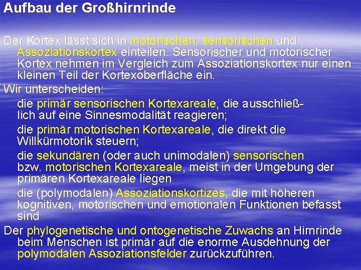 Aufbau der Großhirnrinde Der Kortex lässt sich in motorischen, sensorischen und Assoziationskortex einteilen. Sensorischer