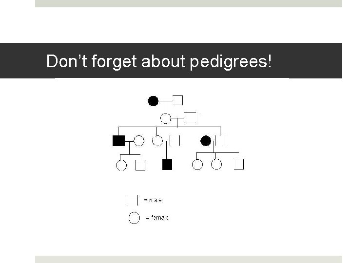 Don’t forget about pedigrees! 