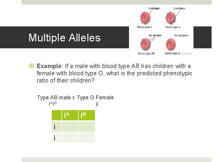 Multiple Alleles Example: If a male with blood type AB has children with a