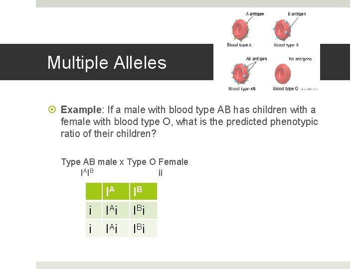 Multiple Alleles Example: If a male with blood type AB has children with a