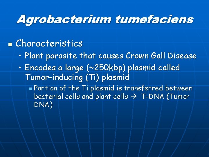 Agrobacterium tumefaciens n Characteristics • Plant parasite that causes Crown Gall Disease • Encodes