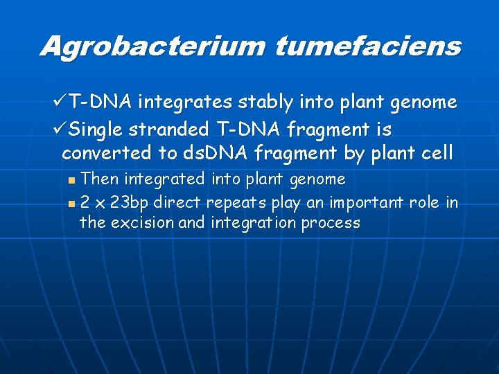 Agrobacterium tumefaciens üT-DNA integrates stably into plant genome üSingle stranded T-DNA fragment is converted