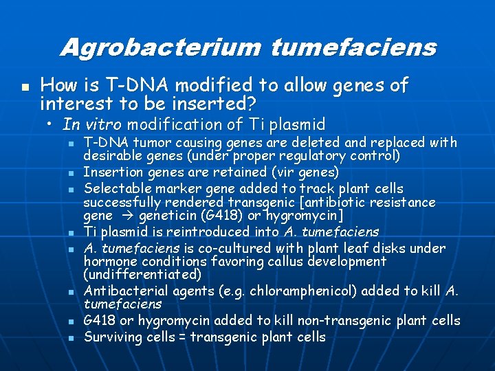 Agrobacterium tumefaciens n How is T-DNA modified to allow genes of interest to be