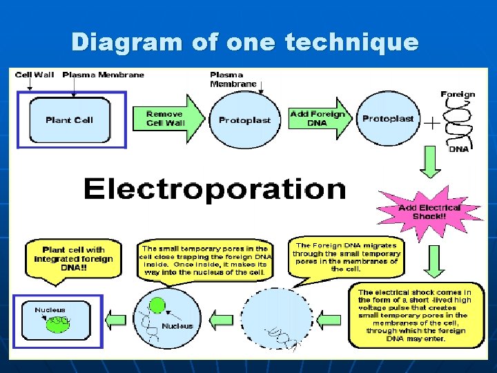 Diagram of one technique 