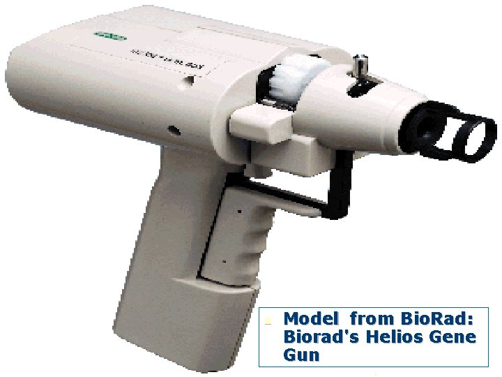 n Model from Bio. Rad: Biorad's Helios Gene Gun 