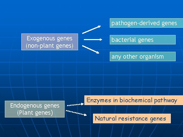pathogen-derived genes Exogenous genes (non-plant genes) bacterial genes any other organism Endogenous genes (Plant