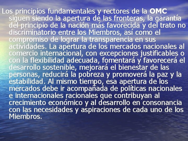 Los principios fundamentales y rectores de la OMC siguen siendo la apertura de las